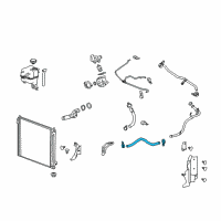 OEM Cadillac SRX Lower Hose Diagram - 25800334