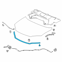 OEM 2021 Honda Ridgeline SEAL, HOOD RUBBER Diagram - 74146-T6Z-A01