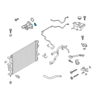 OEM 2014 Ford Fusion Thermostat Lower Seal Diagram - 4M5Z-8255-A