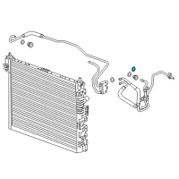 OEM Chevrolet Retainer, Trans Fluid Cooler Pipe Fitting Diagram - 24205103