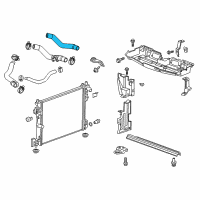 OEM 2019 Cadillac CT6 Lower Hose Diagram - 84167084