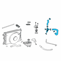 OEM 2009 Ford Mustang Lower Hose Diagram - 7R3Z-8286-C