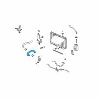 OEM 2009 Acura TSX Hose, Water (Lower) Diagram - 19506-RL5-A01