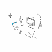 OEM Acura Hose, Water (Upper) Diagram - 19501-RL5-A01