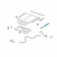 OEM 2012 Chevrolet Tahoe Assist Cylinder Diagram - 25880917