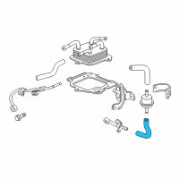 OEM Honda Accord Hose (175MM) (ATf) Diagram - 25213-RTA-007