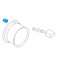 OEM 2007 Infiniti G35 TPMS Service Kits Diagram - 40780JK01A