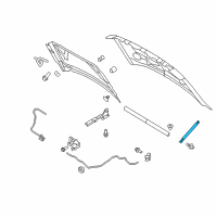 OEM 2013 Ford F-150 Lift Cylinder Diagram - 9L3Z-16C826-A