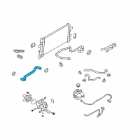 OEM Saturn Lower Hose Diagram - 13118271