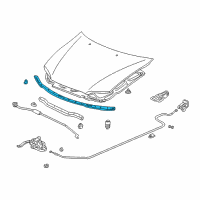 OEM 2001 Honda Odyssey Rubber, FR. Hood Seal Diagram - 74149-S0X-A01