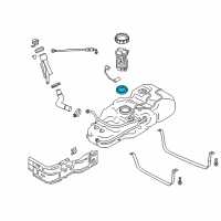 OEM 2017 Chevrolet City Express Fuel Pump Assembly Seal Diagram - 19316265