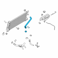 OEM 2017 Ford F-150 Upper Hose Diagram - FL3Z-8260-C