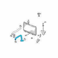 OEM 2005 Honda Accord Hose, Water (Lower) Diagram - 19502-RCA-A00