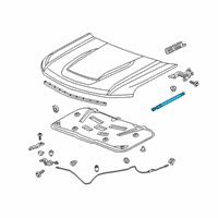 OEM 2019 Chevrolet Silverado 1500 Support Strut Diagram - 84447696