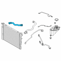 OEM BMW 530e Lower Radiator Coolant Hose Diagram - 17-12-8-602-603