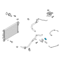 OEM 2022 Ford EcoSport Adapter Gasket Diagram - CJ5Z-8255-A