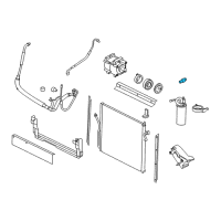 OEM 2009 Ford Ranger A/C System Valve Core Diagram - 6L2Z19D594A