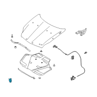 OEM 2006 Infiniti G35 Clamp-Rod Hood Diagram - 65722-AL505