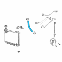 OEM Pontiac G8 Lower Hose Diagram - 92157817