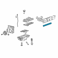 OEM 2018 Chevrolet Equinox Manifold Gasket Diagram - 55577046