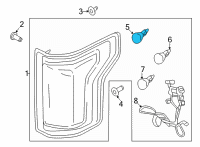 OEM 2022 Ford F-150 Exterior Bulbs Diagram - JL3Z-13466-B