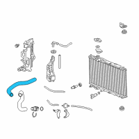 OEM Acura ILX Hose, Water (Upper) Diagram - 19501-RW0-A01