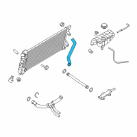 OEM 2017 Ford F-150 Upper Hose Diagram - HL3Z-8260-C