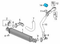 OEM 2022 Honda Civic Hose, Intercooler Outlet (C) Diagram - 17295-6A0-A01