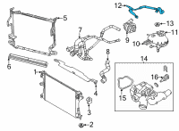 OEM 2020 Jeep Renegade Hose-COOLANT Bottle Vent Diagram - 68440138AA