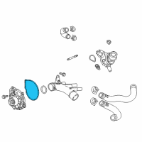 OEM 2021 Chevrolet Express 2500 Gasket Diagram - 12648132