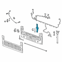 OEM 2020 Chevrolet Silverado 1500 Hinge Diagram - 84447001