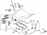 OEM Lexus NX250 SUPPORT ASSY, HOOD Diagram - 53440-0W380