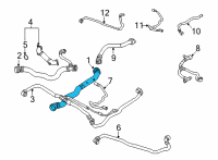 OEM BMW X3 HOSE, RADIATOR-ENGINE Diagram - 17-12-9-797-611