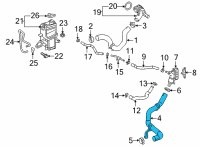 OEM 2022 Lexus NX350h Hose, Radiator, NO.1 Diagram - 16571-25120