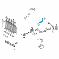 OEM 2008 Lexus GS450h Hose, Radiator, NO.1 Diagram - 16571-31160