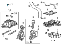 OEM 2022 Jeep Gladiator Bolt-Hex FLANGE Head Diagram - 68492932AA