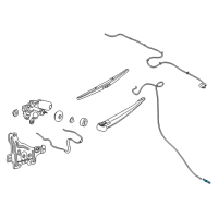 OEM Ford Washer Hose Connector Diagram - 95VZ-17A612-A