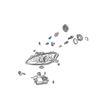 OEM 2003 Acura RSX Bulb (Wy5W 12V5W) Diagram - 33301-S6M-003