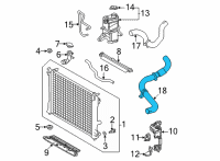 OEM Lexus NX250 Multi Purpose Hose Diagram - 1657125070