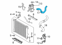 OEM Lexus NX250 Multi Purpose Hose Diagram - 1657225050