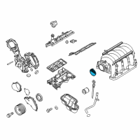 OEM 2009 Infiniti QX56 Gasket-Adapter Diagram - 16175-7S000