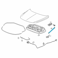 OEM 2019 Buick LaCrosse Support Strut Diagram - 22977333