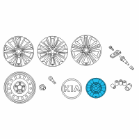 OEM 2017 Kia Sorento Wheel Hub Cap Assembly Diagram - 52960C6000
