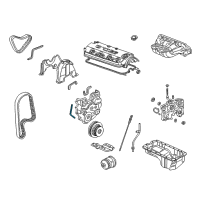 OEM Acura CL Seal, Timing Belt Cover (Cut Before Use) Diagram - 11812-PAA-800