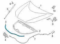 OEM Toyota Mirai Front Weatherstrip Diagram - 53381-62010