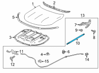 OEM Buick Support Strut Diagram - 39161360