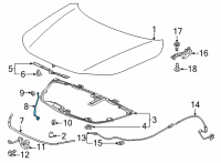 OEM Honda Civic STAY, HOOD OPEN Diagram - 74145-T20-A00