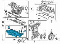 OEM 2022 Honda Civic Pan Assembly, Oil Diagram - 11200-5BA-A00