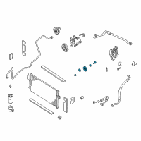 OEM 2004 Nissan Xterra PULLEY IDLER Diagram - 11925-3S502