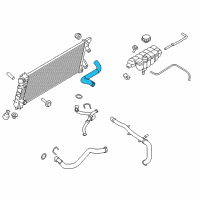 OEM 2017 Ford F-150 Upper Hose Diagram - FL3Z-8260-A